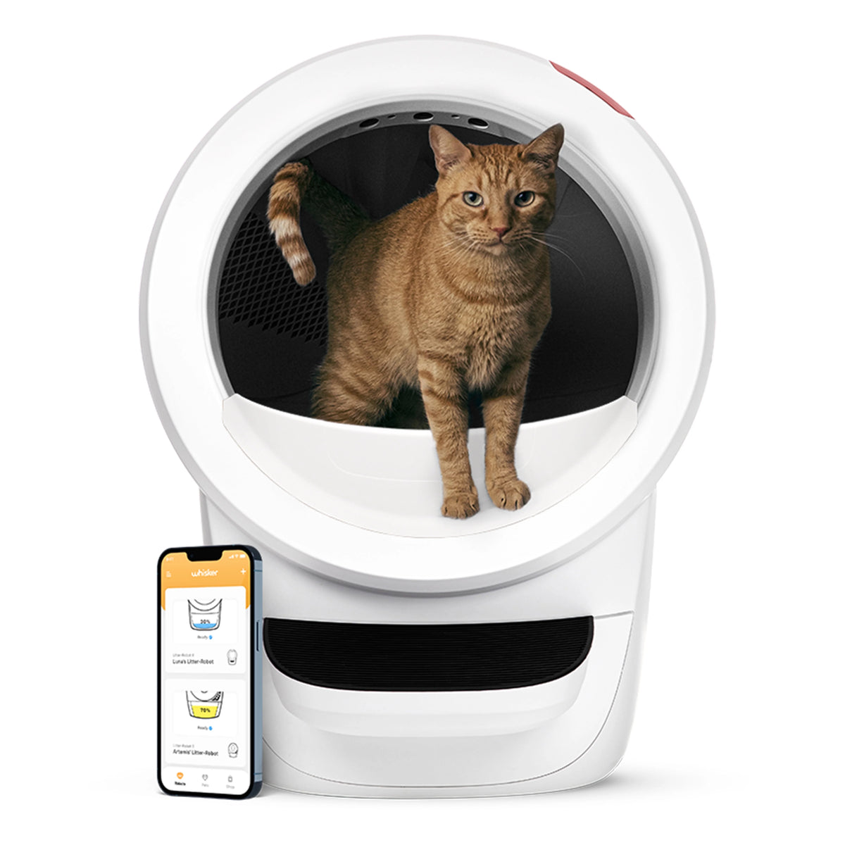2026 2025 Whisker Litter-Robot 4 avec Marchepied – Bac à Litière Automatique Auto-nettoyant pour Chats, Noir, Technologie Avancée pour un Confort Optimal et Contrôle Intelligent des Déchets